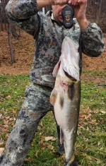 IMG_20211010_114054.webp