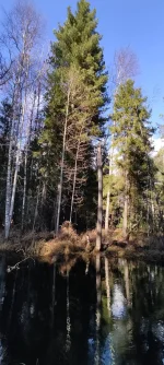 изображение_viber_2021-10-27_10-07-46-157.webp