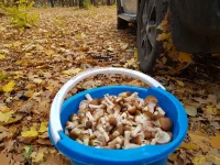 20211015_164851.webp