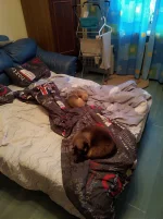 IMG_20211115_155028.webp