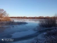 6MWeeLcx6dU-1.webp