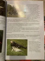 EDB4EDB7-2FD2-4A66-82E6-F552FFEDB5F2.webp