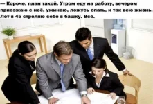 16668744.webp