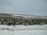 DSCN0099.webp