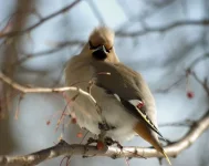 SG101341.webp