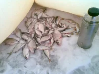 09012011.webp