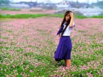 3333.webp