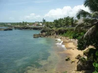 P1020126.webp