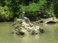 P1020108.webp