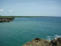 P1020139.webp