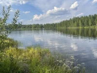 D0E31E40-3F23-4A24-B2BA-EB78C416BCF8.webp