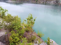 IMG_20210729_204925.webp