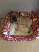 IMG-20220817-WA0005.webp