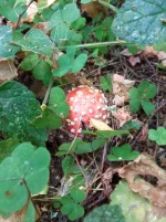 IMG_20220904_092912.webp