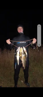 Screenshot_20220924-174215_Gallery.webp