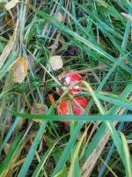 IMG_20220927_163557.webp