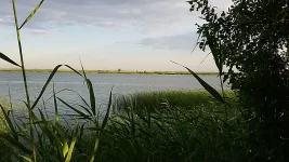 20180705_185708.webp