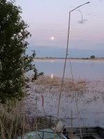 20190518_204955.webp