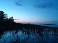 20190524_040357.webp