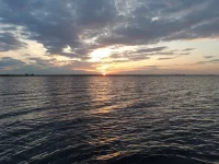 20190524_044805.webp