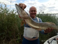 IMG-20170911-WA0017.webp
