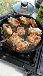 IMG-20180706-WA0011.webp