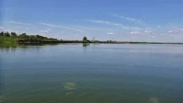 P1600532.webp
