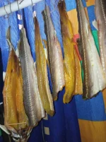 IMG_20221009_142919.webp