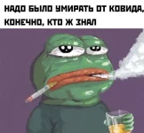 o8g0TWWRbnc.webp
