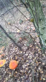 20221001_134007.webp