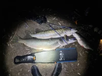 IMG-20221114-WA0015.webp