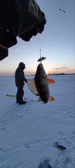 изображение_viber_2022-11-25_17-23-05-445.webp
