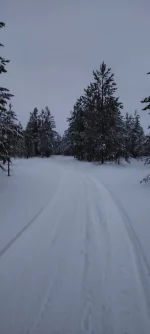 изображение_viber_2022-11-28_11-48-44-582.webp