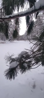 изображение_viber_2022-11-28_11-48-44-952.webp
