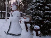 PICT0012.webp