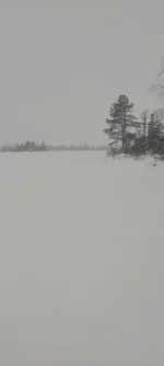 изображение_viber_2022-12-17_22-01-23-089.webp