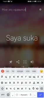 Screenshot_20221223_223430_com.microsoft.translator.webp