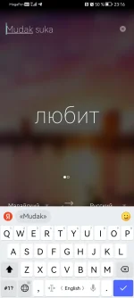 Screenshot_20221223_231619_com.microsoft.translator.webp