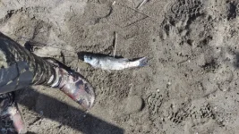 IMG_20221206_193223_087.webp