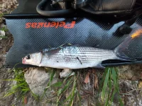 IMG_20230108_175308.webp
