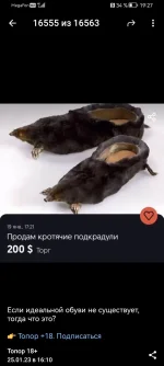 Screenshot_20230125_192723_org.telegram.messenger.webp