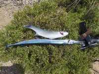 IMG_20230512_114544.webp