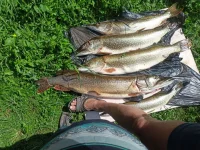 IMG202307011404181.webp