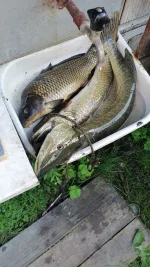 IMG-20230714-WA0003.webp