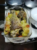 IMG_20230714_223655.webp