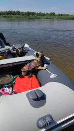 IMG-20220727-WA0011.webp