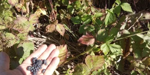 IMG_20230924_093905.webp