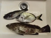 IMG_20240517_111849_edit_113203712437934.webp