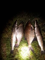 IMG-20240922-WA0000.webp