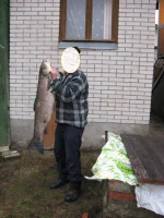 00.webp